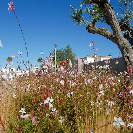 Quinta Do Algarvio Village 리조트 카르보에이루