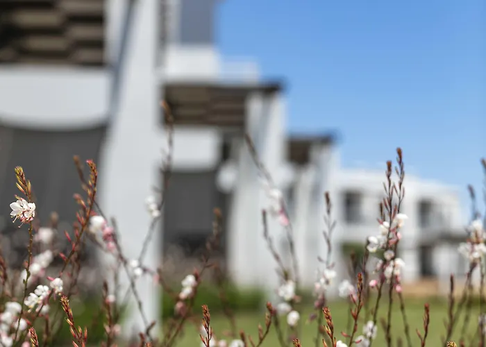 リゾート Quinta Do Algarvio Village